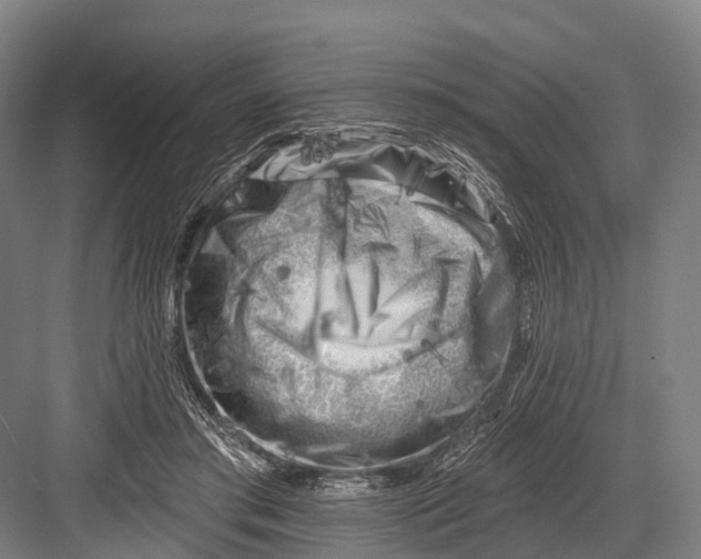 X0000082730405200702161912