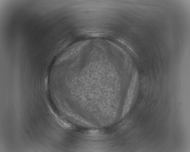 X0000082730406200702161912