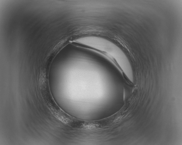 X0000082730407200702161912