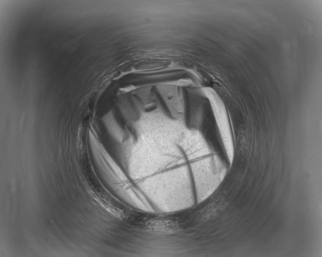 X0000082730408200702161912