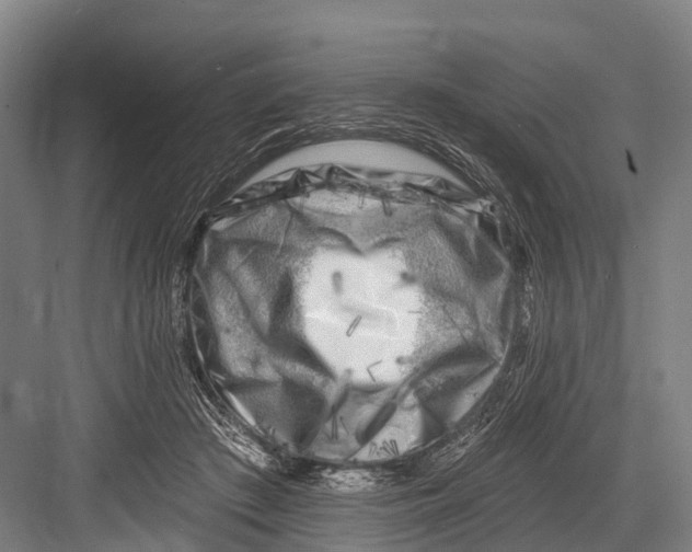 X0000082730409200702161912