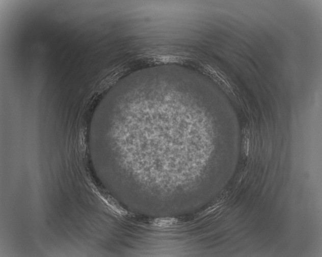 X0000082730410200702161912