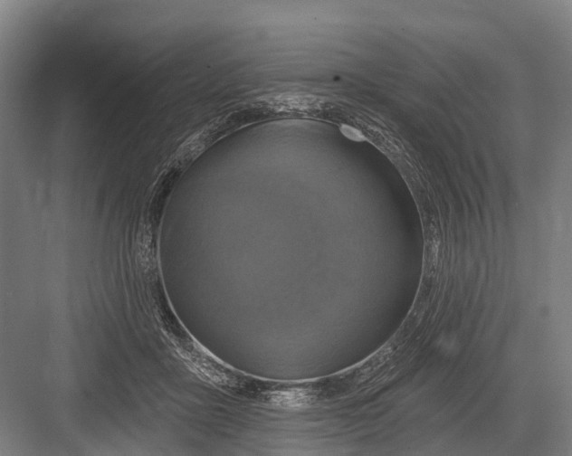 X0000082730411200702161912