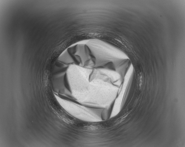 X0000082730412200702161912