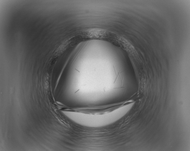 X0000082730413200702161912