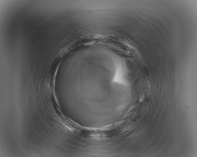 X0000082730415200702161912