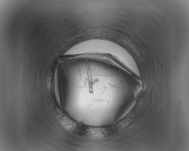 X0000082730417200702161912