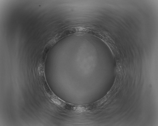 X0000082730419200702161912