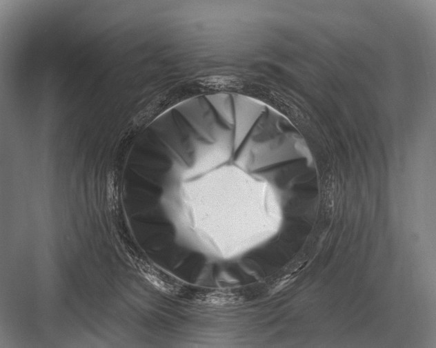 X0000082730420200702161912