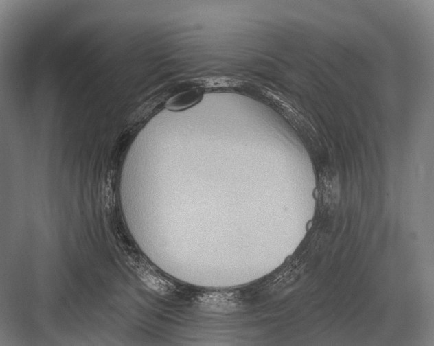 X0000082730422200702161912