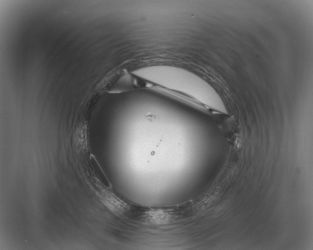 X0000082730425200702161912