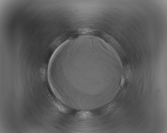 X0000082730427200702161912