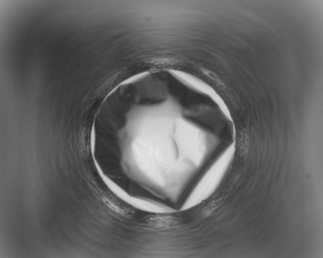 X0000082730428200702161912