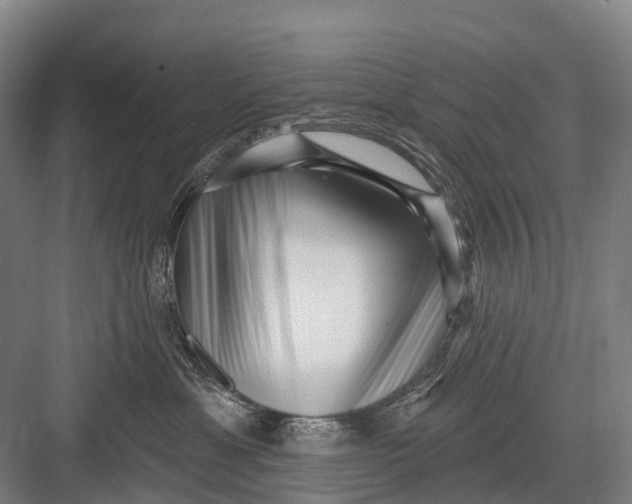 X0000082730429200702161912