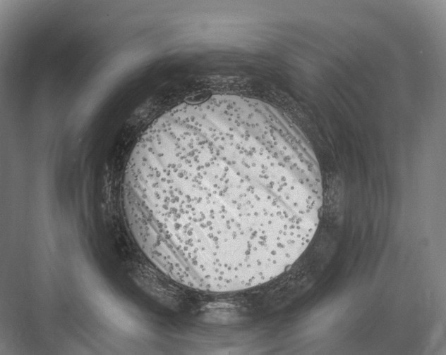 X0000082730430200702161912