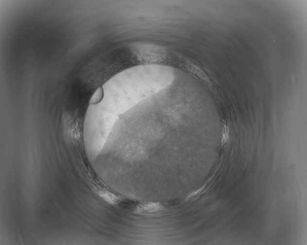 X0000082730431200702161912