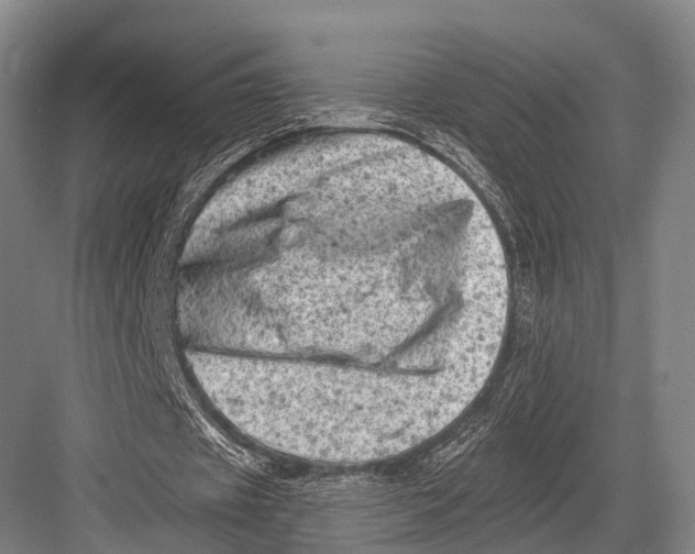 X0000082730433200702161911