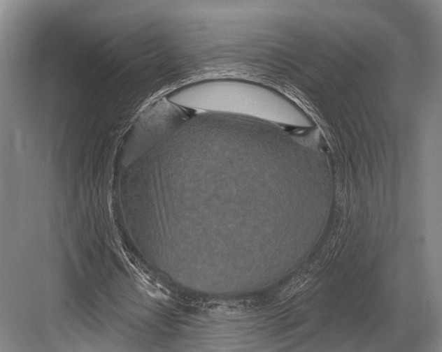 X0000082730434200702161911