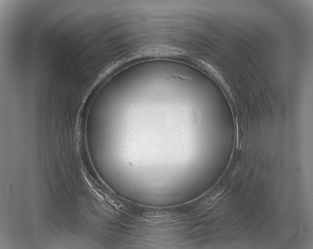 X0000082730435200702161911