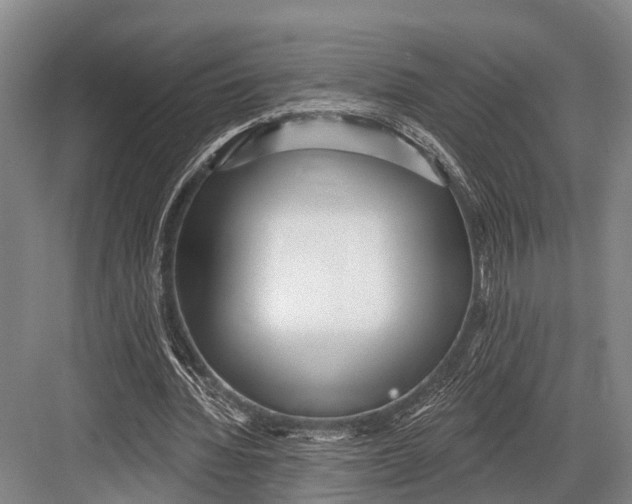 X0000082730436200702161911