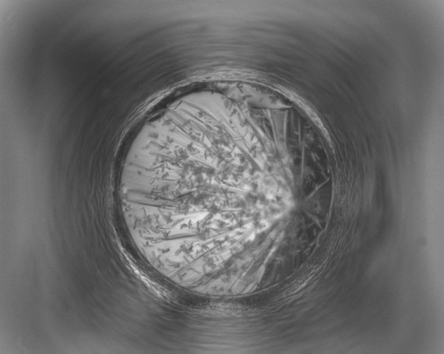 X0000082730437200702161911