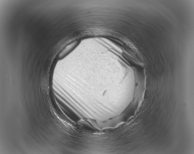 X0000082730438200702161911