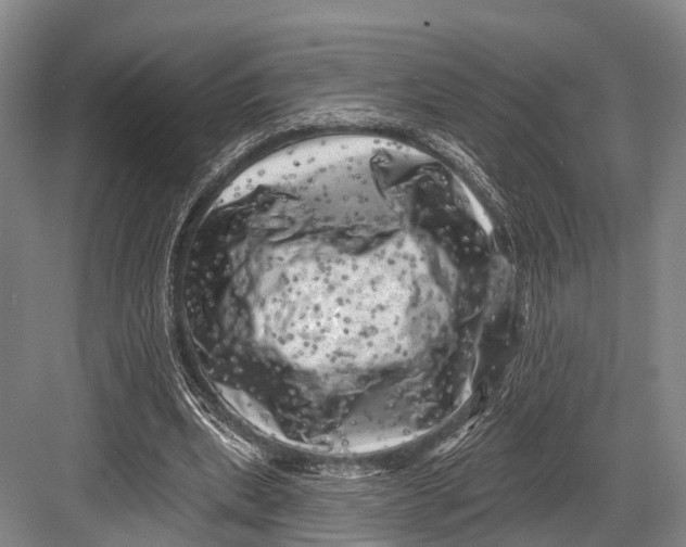 X0000082730439200702161911