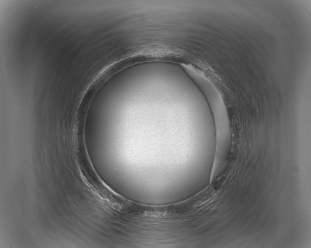 X0000082730440200702161911