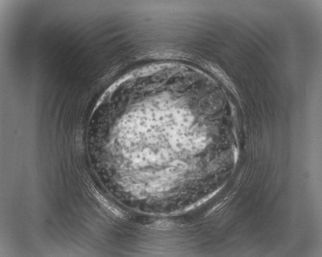 X0000082730441200702161911