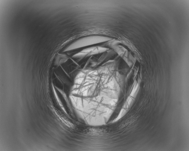 X0000082730442200702161911