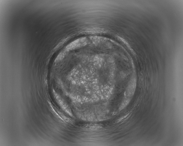 X0000082730443200702161911