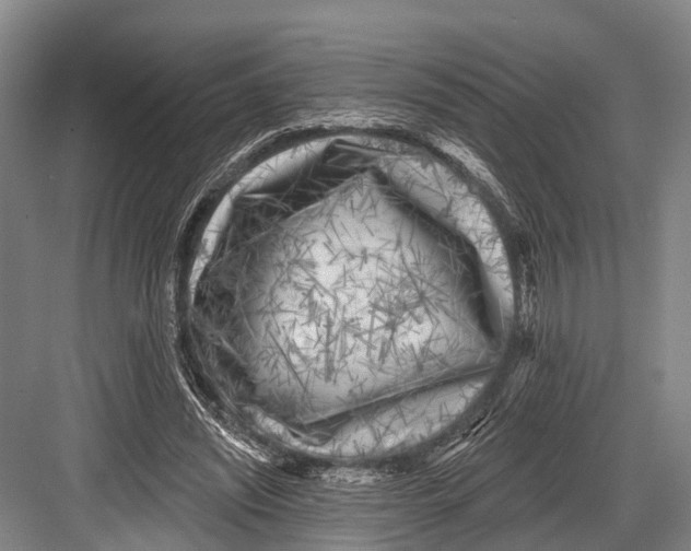 X0000082730444200702161911