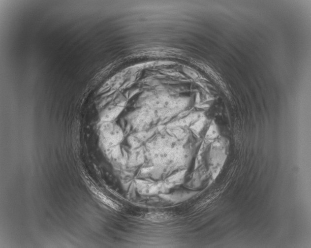 X0000082730445200702161911