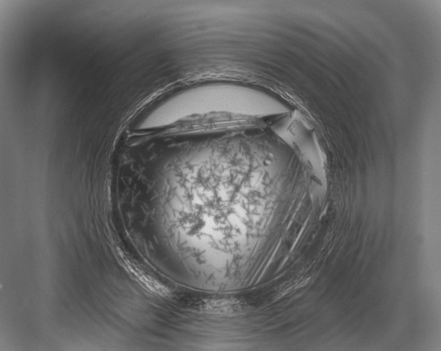 X0000082730446200702161911