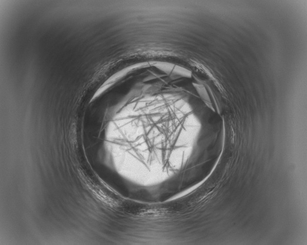 X0000082730447200702161911