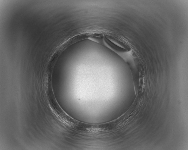 X0000082730448200702161911