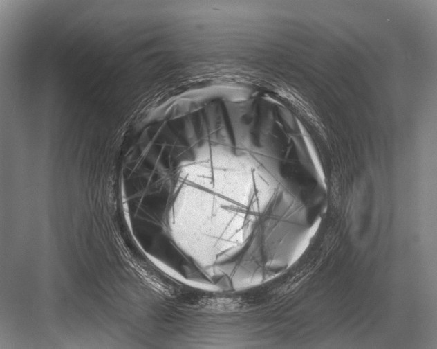 X0000082730449200702161911