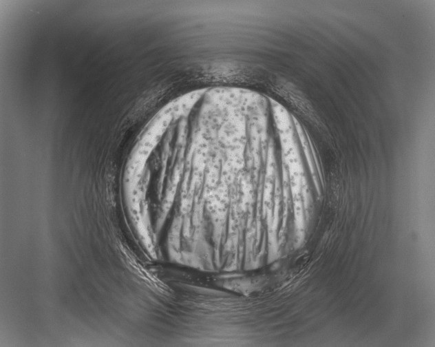 X0000082730450200702161911