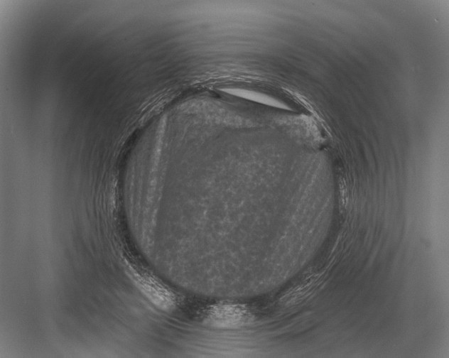 X0000082730451200702161911