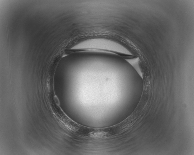 X0000082730452200702161911