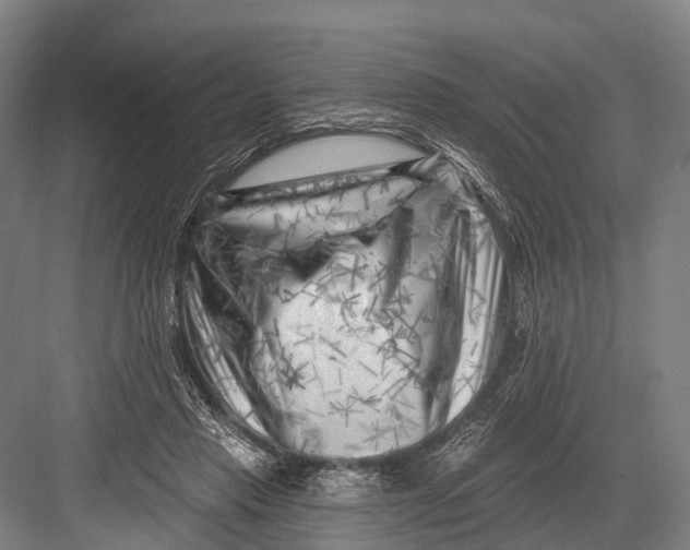 X0000082730453200702161911