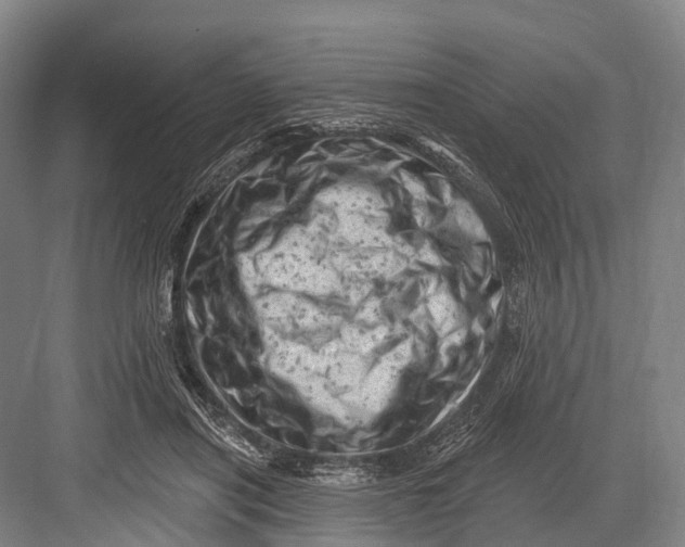 X0000082730454200702161911