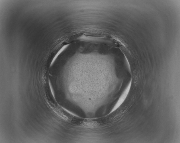 X0000082730455200702161911