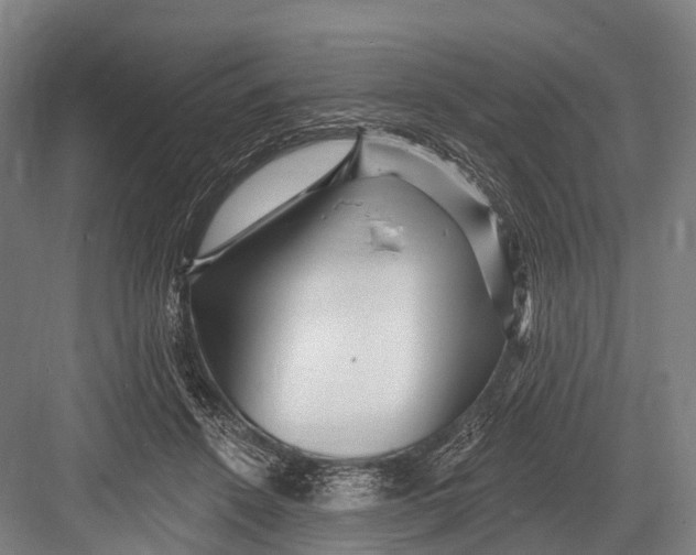 X0000082730456200702161911