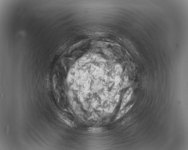 X0000082730457200702161911