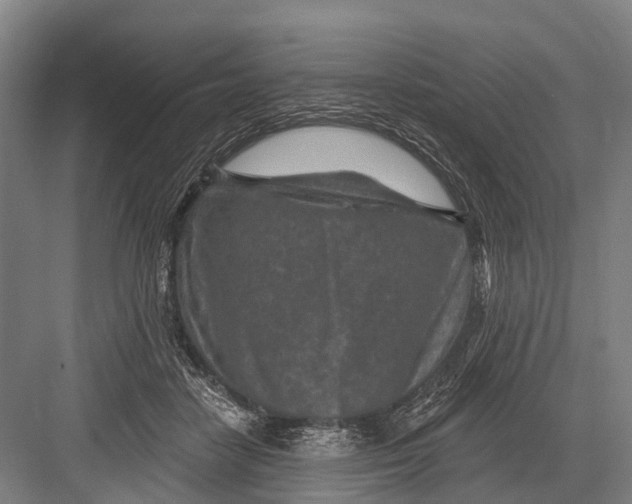 X0000082730458200702161911