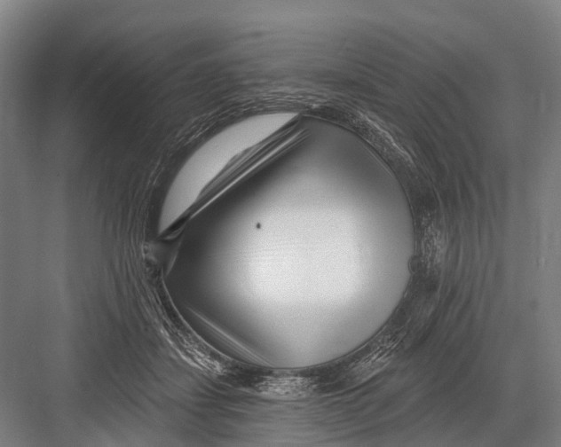 X0000082730459200702161912