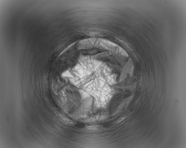 X0000082730461200702161912