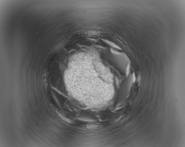 X0000082730462200702161912