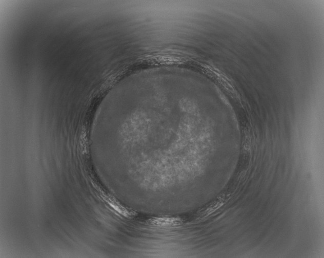 X0000082730465200702161912